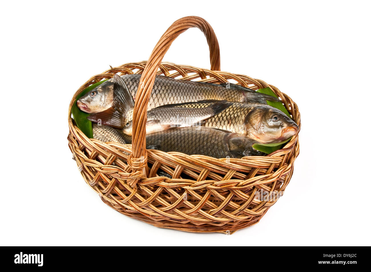 Du poisson frais dans un panier en blanc isolé Photo Stock - Alamy