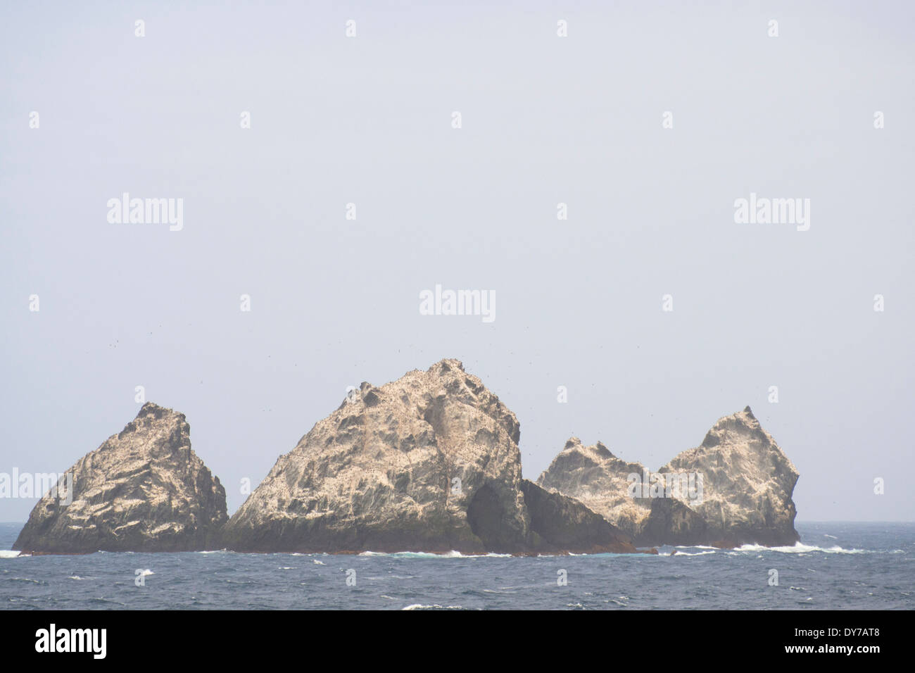 Shag Rocks, extrêmement rare entre îles Géorgie du Sud et Antarctique. Banque D'Images