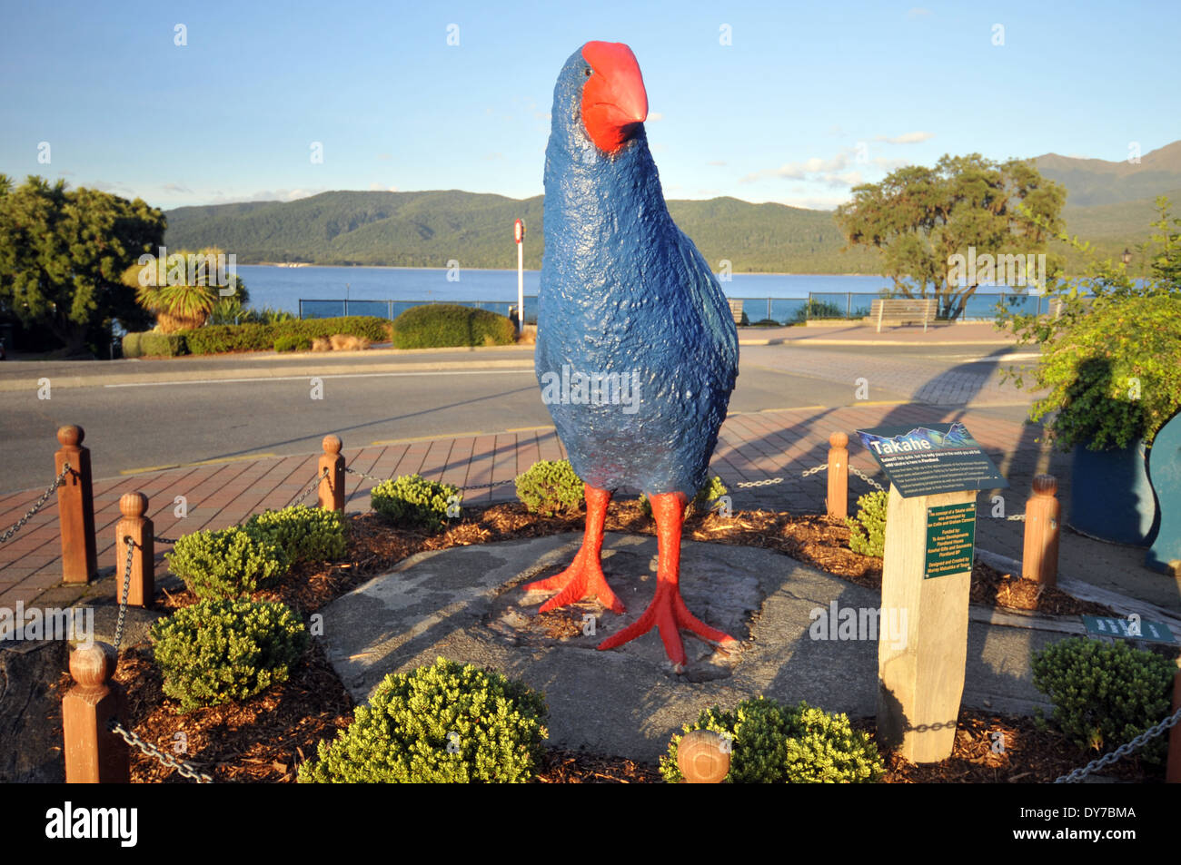 Statue d'une talève sultane ou Pukeko, les populations d'oiseaux de la Nouvelle Zélande, dans les rues de Te Anau, île du Sud, Nouvelle-Zélande Banque D'Images