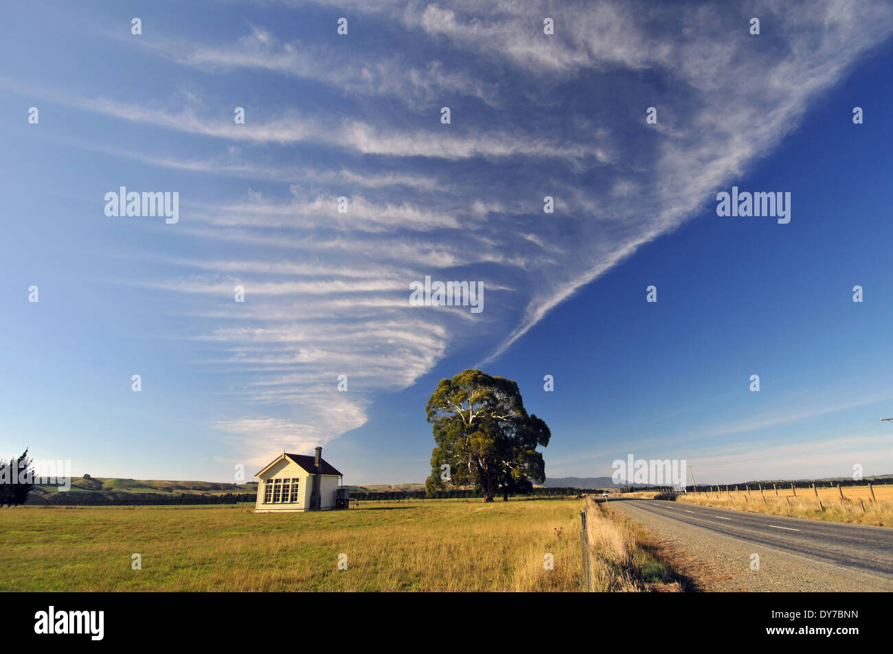 Maison de ferme, arbre, route et nuages, île du Sud, Nouvelle-Zélande Banque D'Images