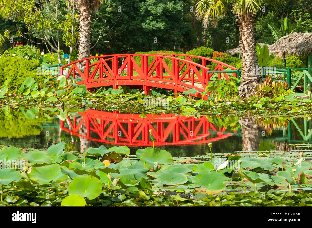 Pont sur le lac principal, jardins d'eau de Lotus Bleu, Yarra Junction, Victoria, Australie Banque D'Images