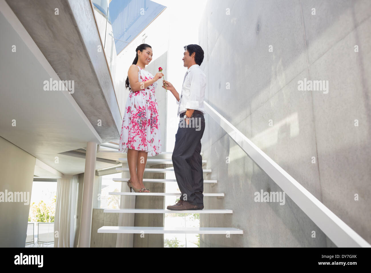 Homme offrant une rose rouge de petite amie Banque D'Images