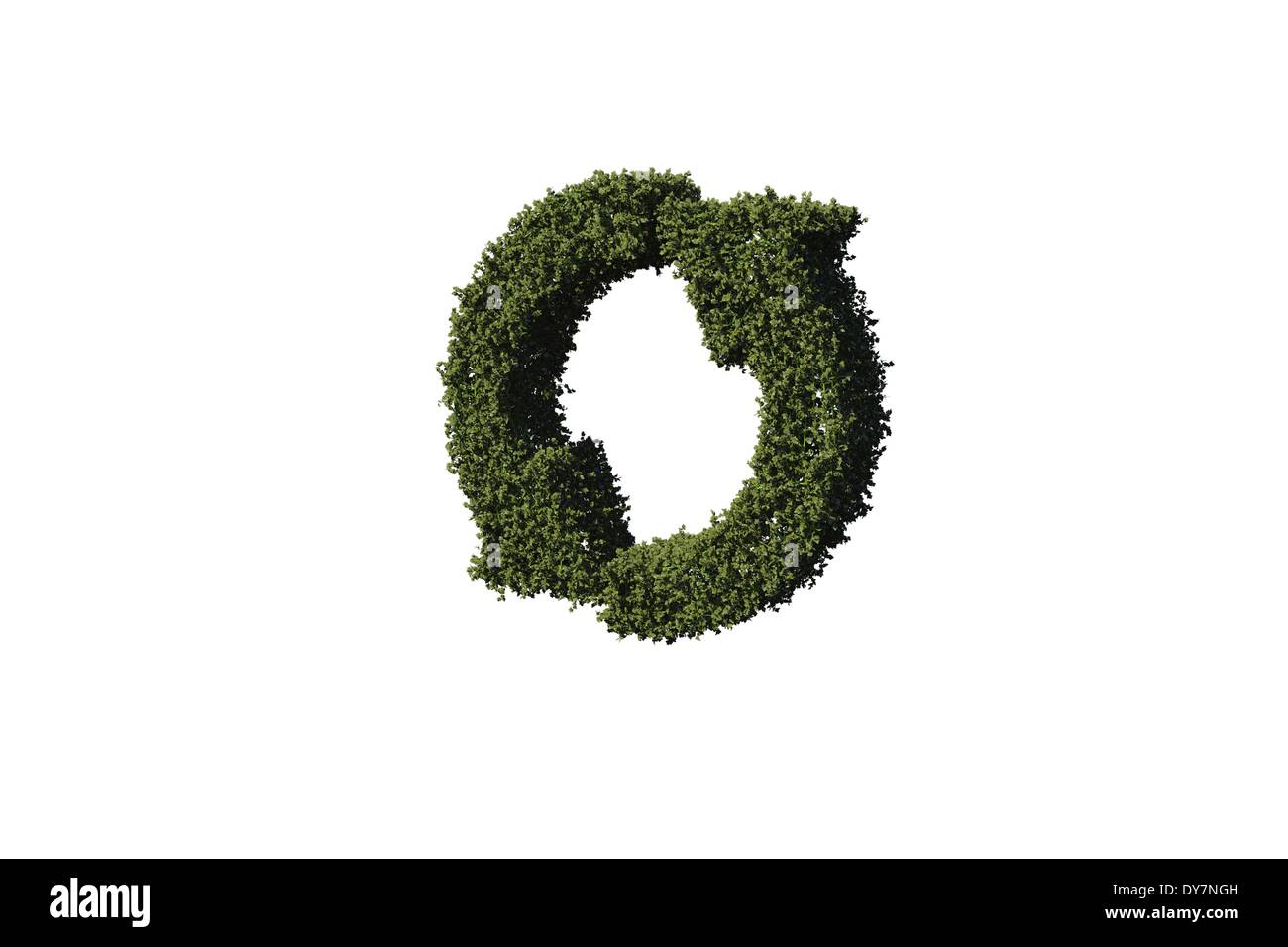 Symbole de recyclage formés de feuilles Banque D'Images