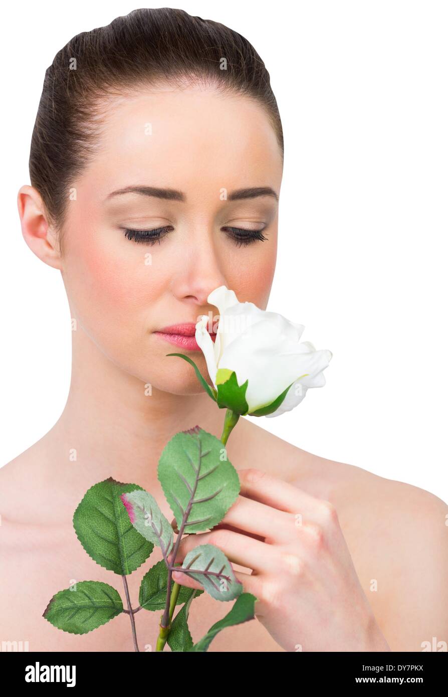 Belle brune odeur de rose blanche Banque D'Images