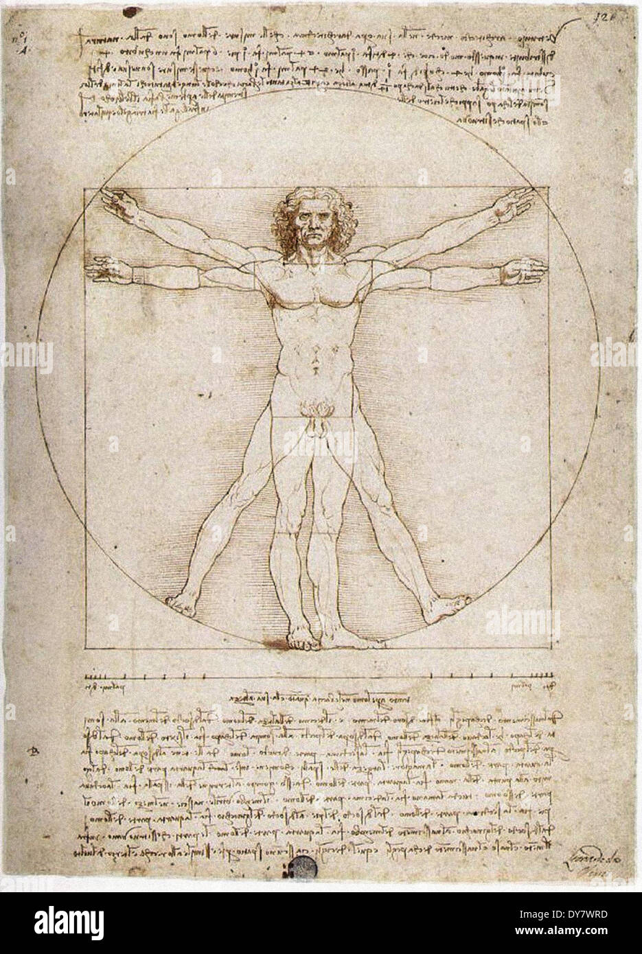 Léonard de Vinci l'homme de Vitruve Banque D'Images