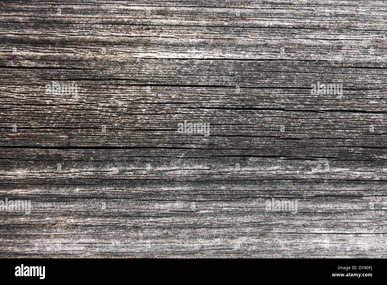 Planche en bois patiné close-up. La texture en bois. Banque D'Images