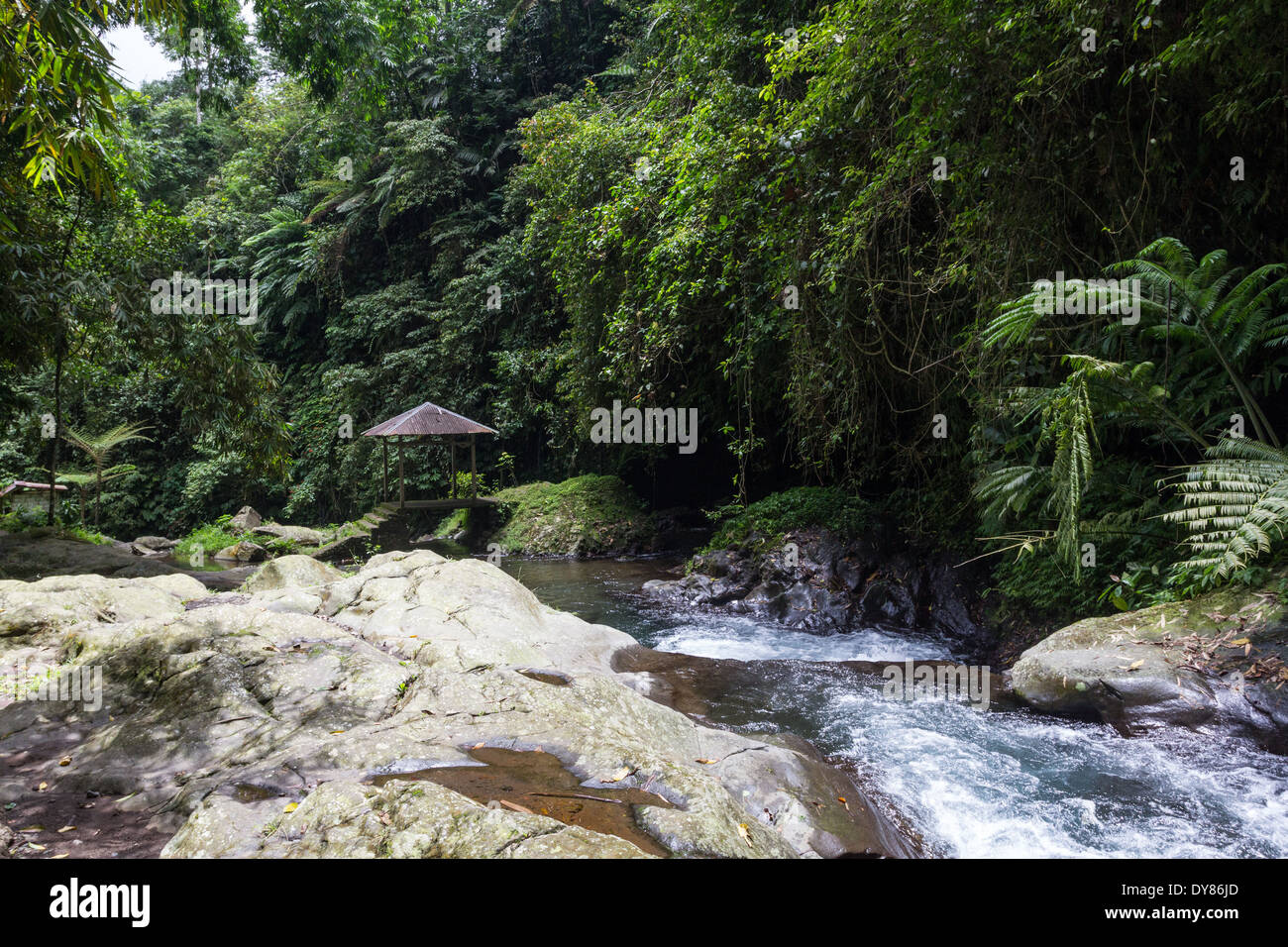 Ruisseau rocheux serpentant entre des rochers pâles près de la cascade de Gitgit dans le nord de Bali, Indonésie. Banque D'Images