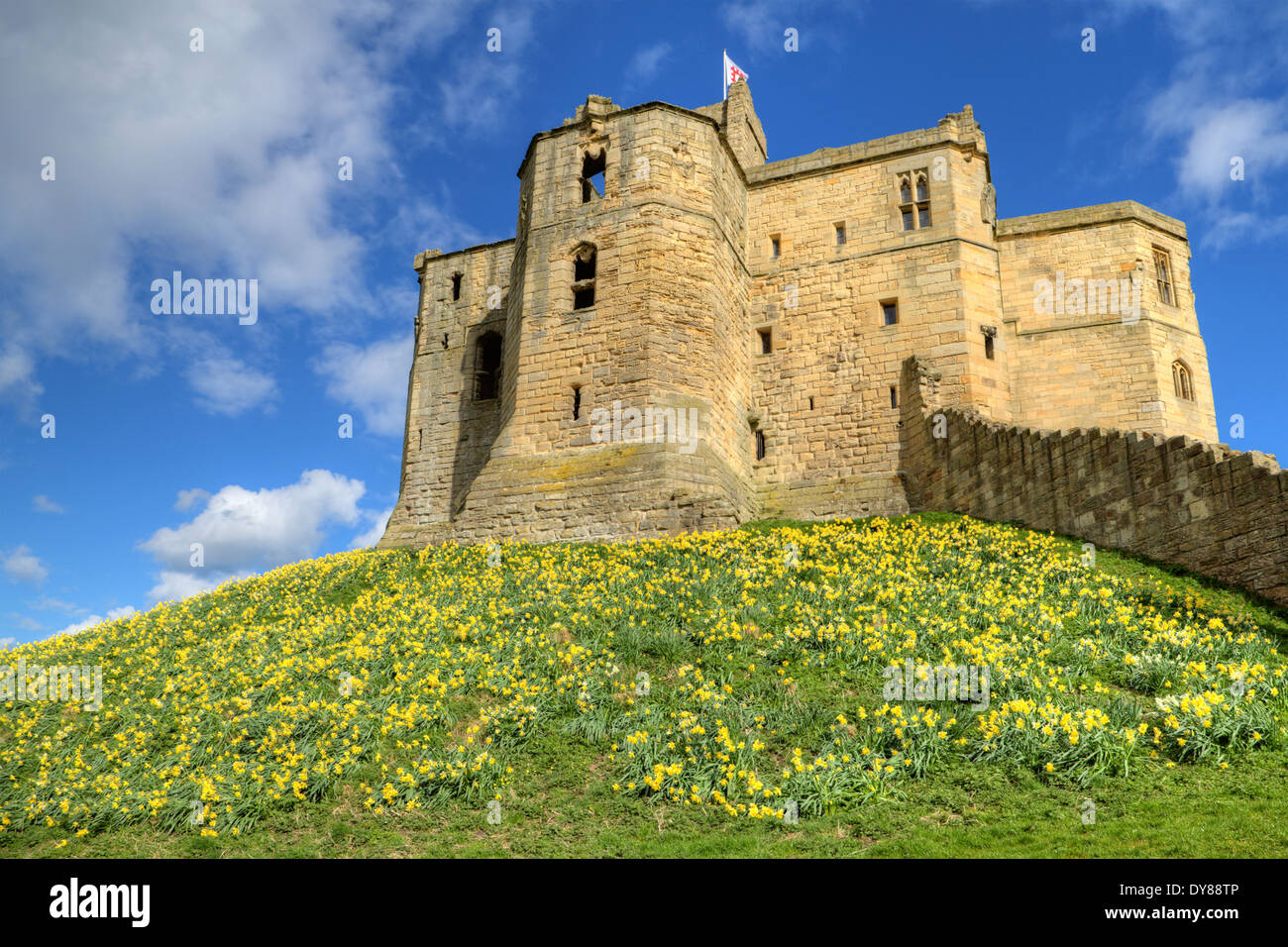 Garder la tour et remparts du château de Warkworth, Northumberland Banque D'Images