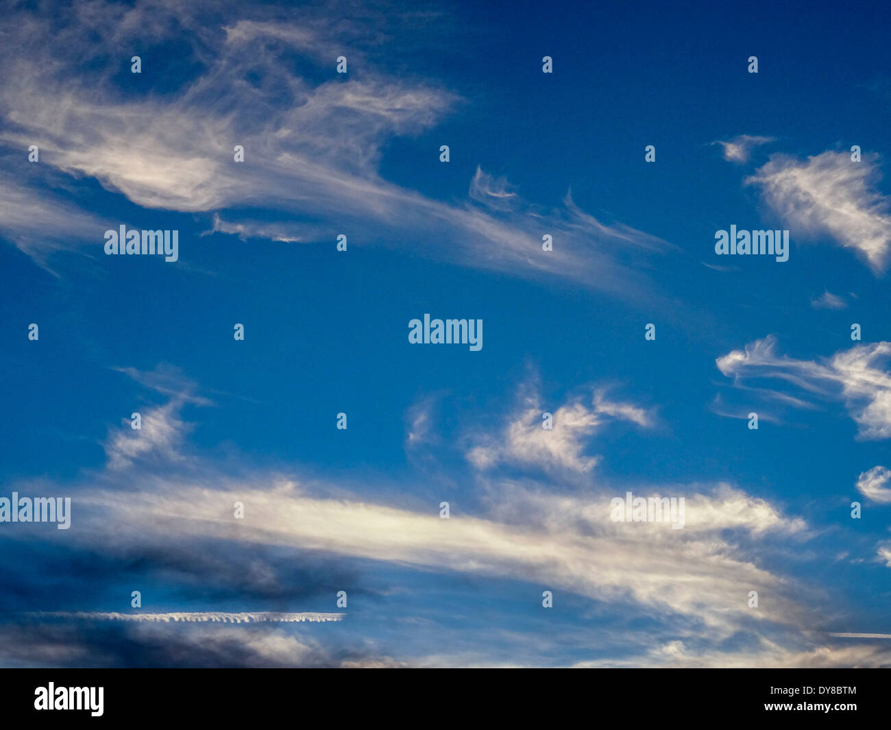 Bleu, nuages, dessins, fluffy, ciel, blanc Banque D'Images