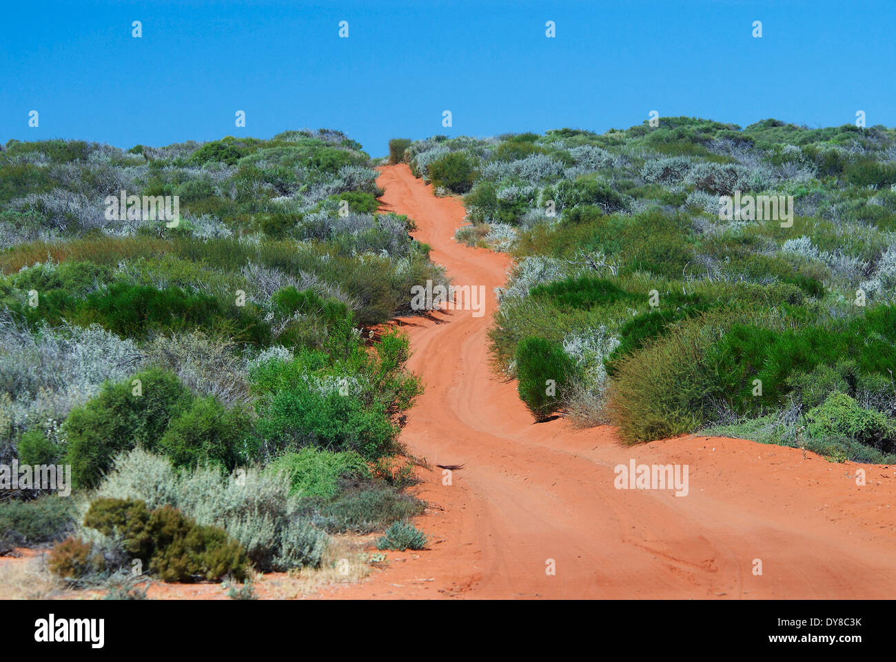 L'Australie, François Peron, parc national, sable, piste, l'ouest de l'Australie, chemin de terre, street Banque D'Images