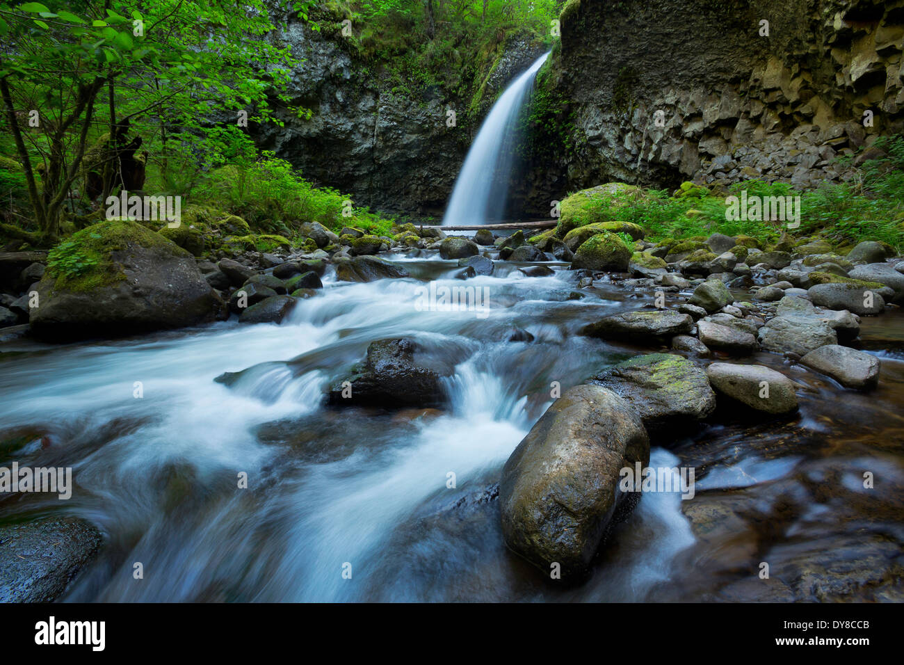 La région de Oneonta tombe dans la région de la Columbia River Gorge, Oregon. USA Banque D'Images