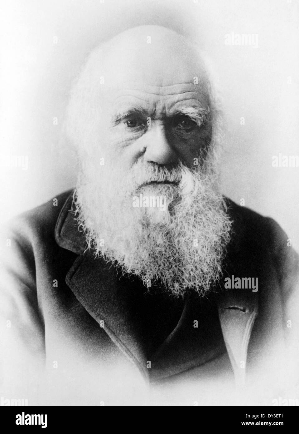 CHARLES DARWIN (1809-1882) Naturaliste anglais vers 1879 Banque D'Images