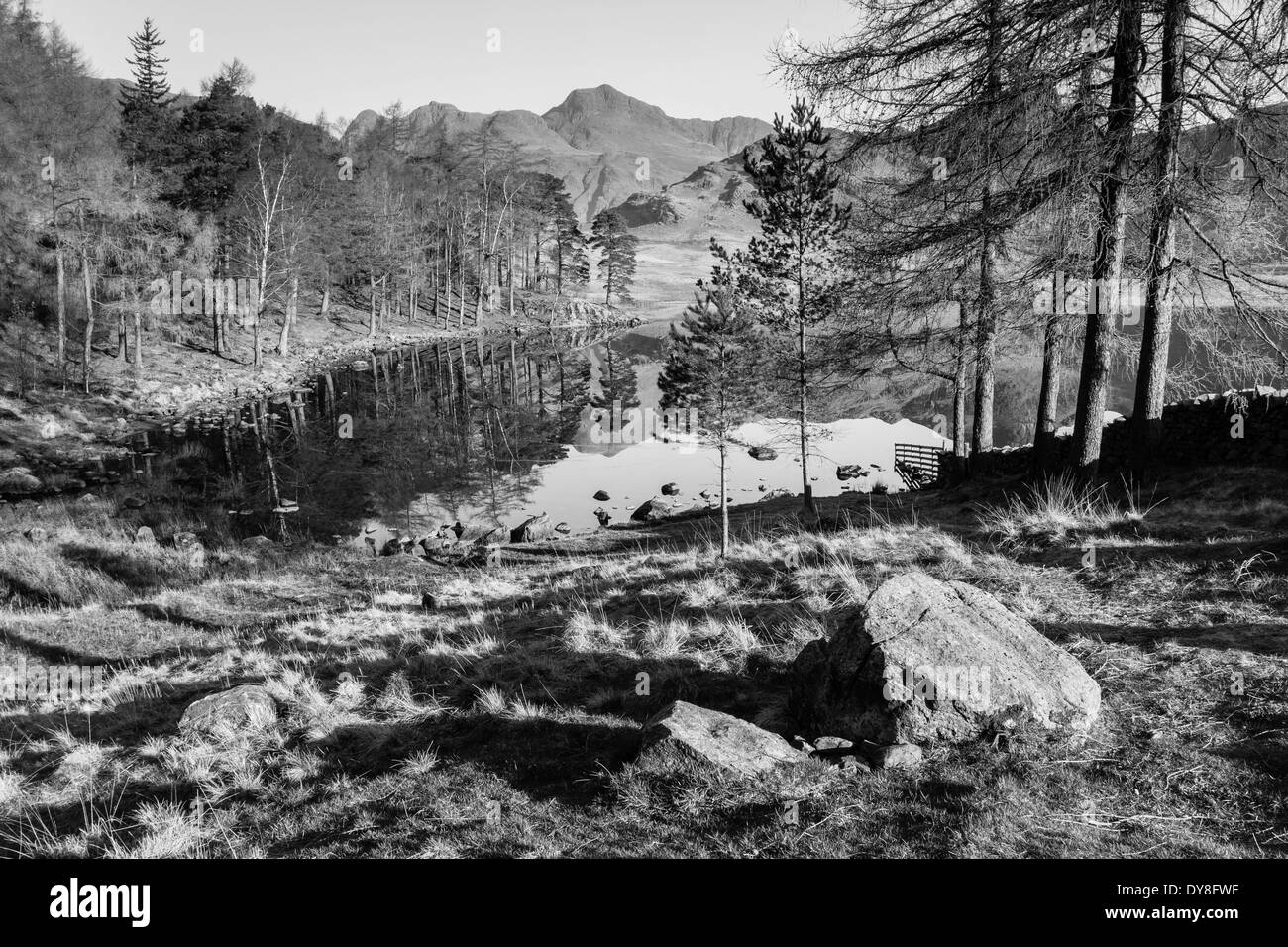Un parfait reflet de la près de Langdale Pikes et Côté Pike dans Blea Tarn, peu dans le Langdale Parc National de Lake District Banque D'Images