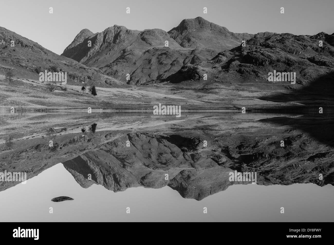 Une près de reflète parfaitement le côté Langale Pikes et Pike dans Blea Tarn, peu dans le Langdale Parc National de Lake District Banque D'Images