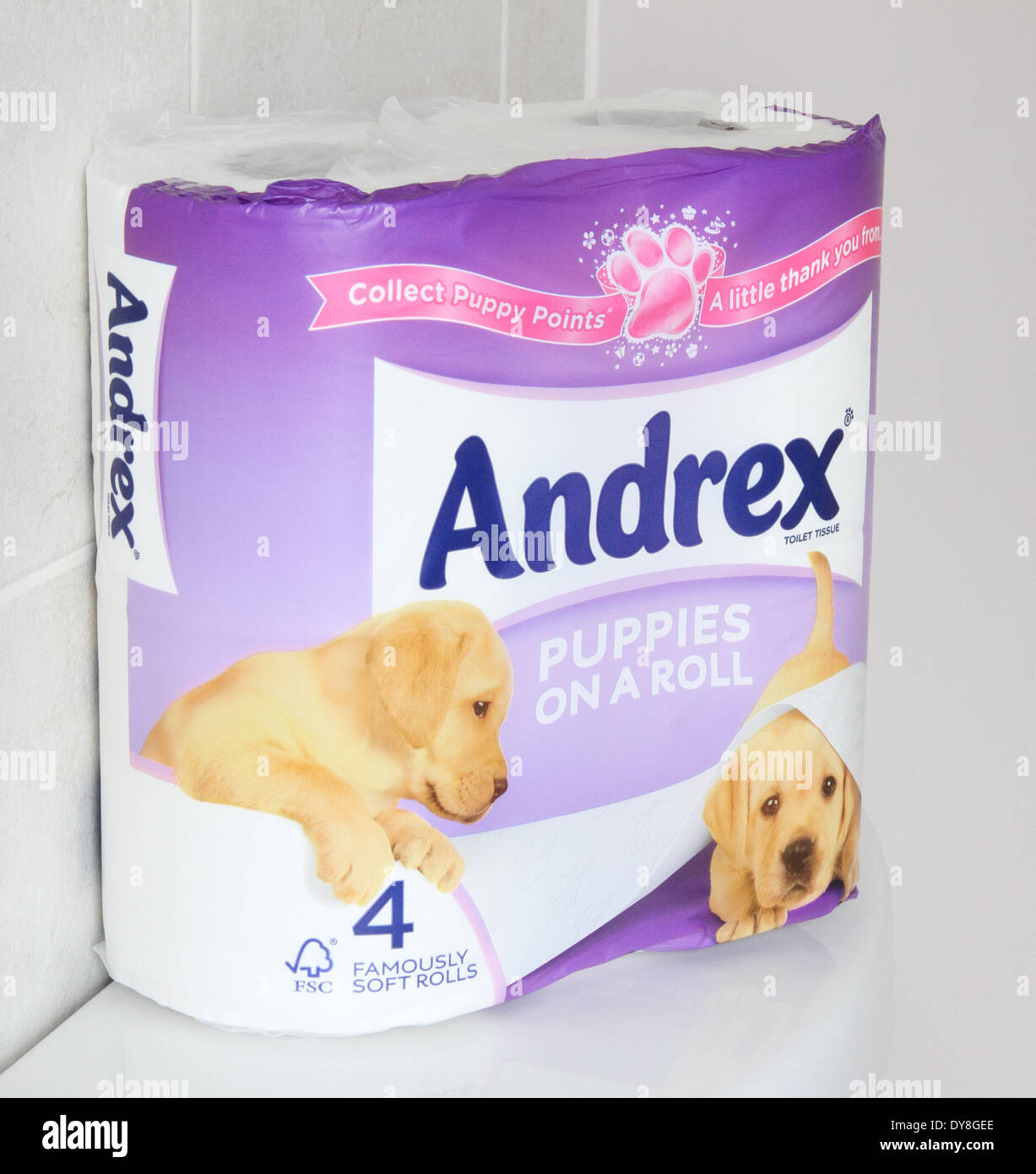 Pack de papier toilette d'Andrex dans un établissement de bains, UK Banque D'Images