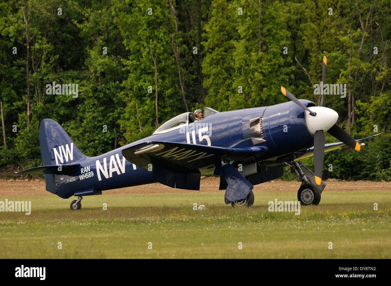 1949 Hawker Sea Fury FB.11 à l'air show de La Ferté Alais Banque D'Images