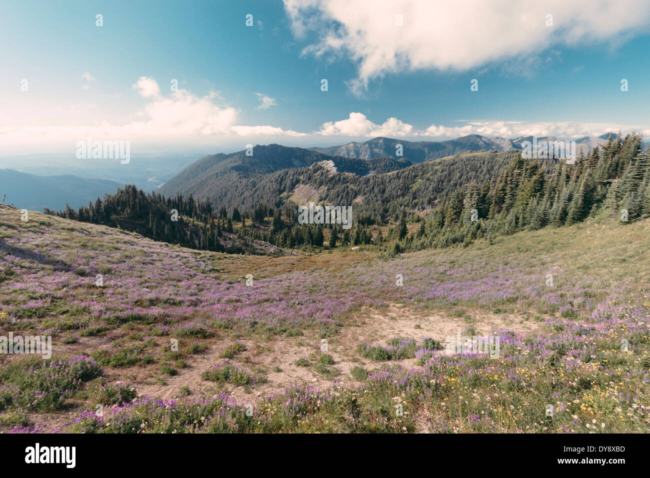 Le Canada, la Colombie-Britannique, vue sur la vallée et les montagnes Banque D'Images