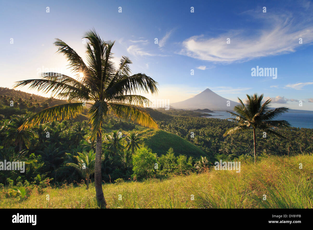 Aux Philippines, dans le sud-est de Luzon, Bicol, volcan Mayon Banque D'Images