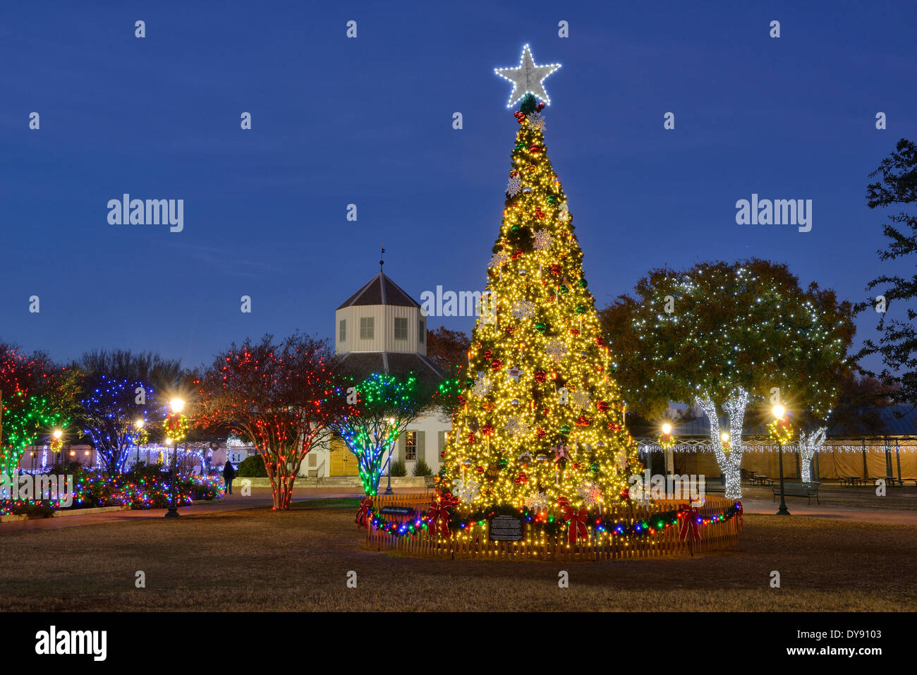 USA, United States, l'Amérique, New York, Hill Country, Fredericksburg, Town Square, arbre, Noël, lumières, star Banque D'Images