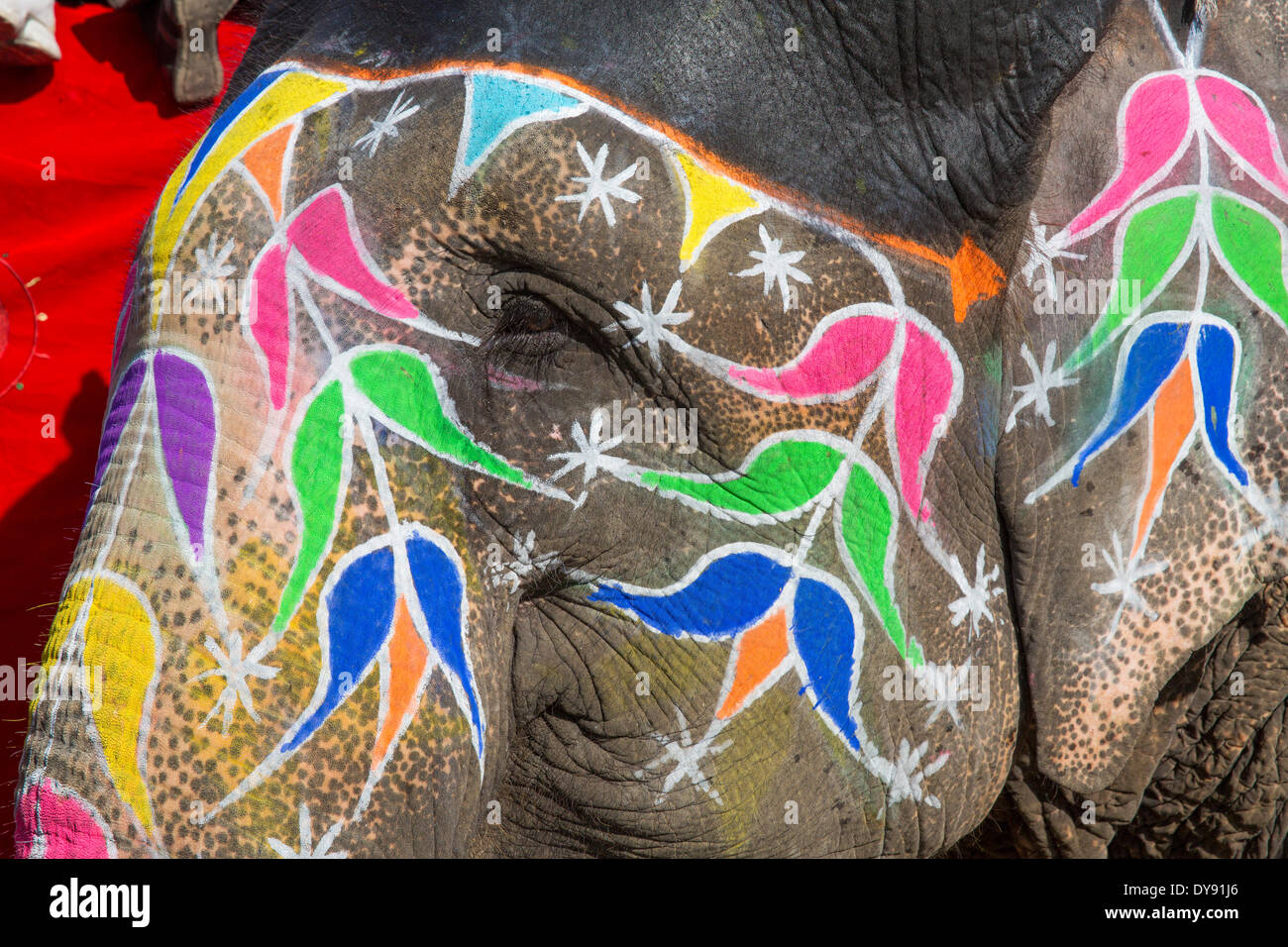 Le travail et les éléphants, l'Asie, l'Inde, l'éléphant, peint, Rajasthan, Banque D'Images