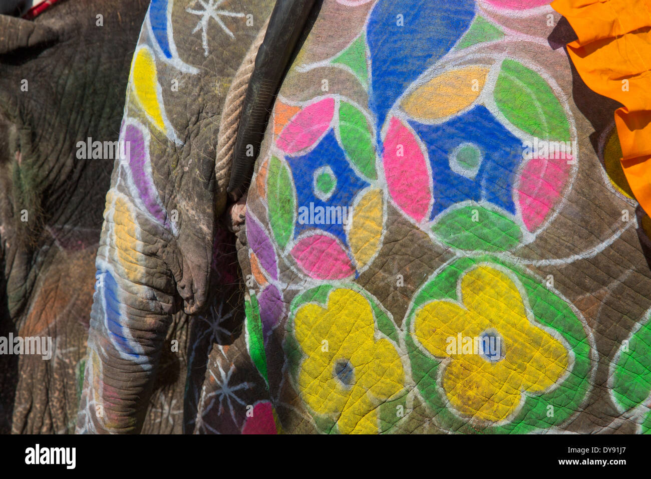 Le travail et les éléphants, l'Asie, l'Inde, l'éléphant, peint, Rajasthan, Banque D'Images