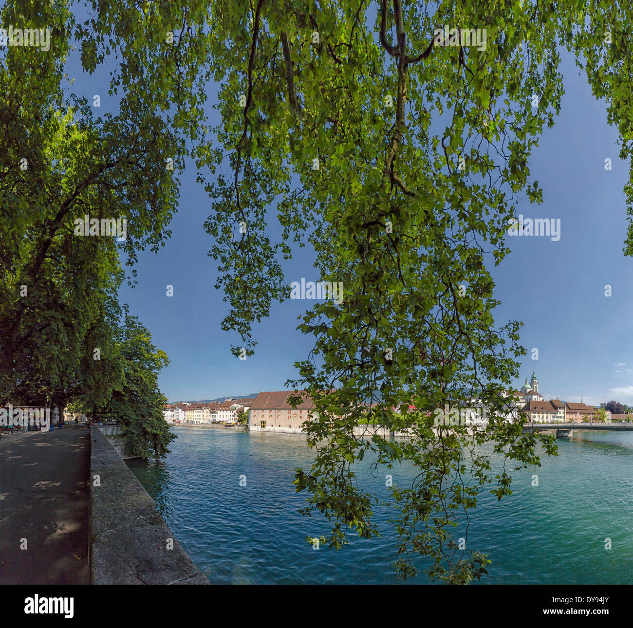 Aare, rivière, ville, village, l'eau, les arbres, l'été, Soleure, Suisse, Europe, feuilles, Banque D'Images