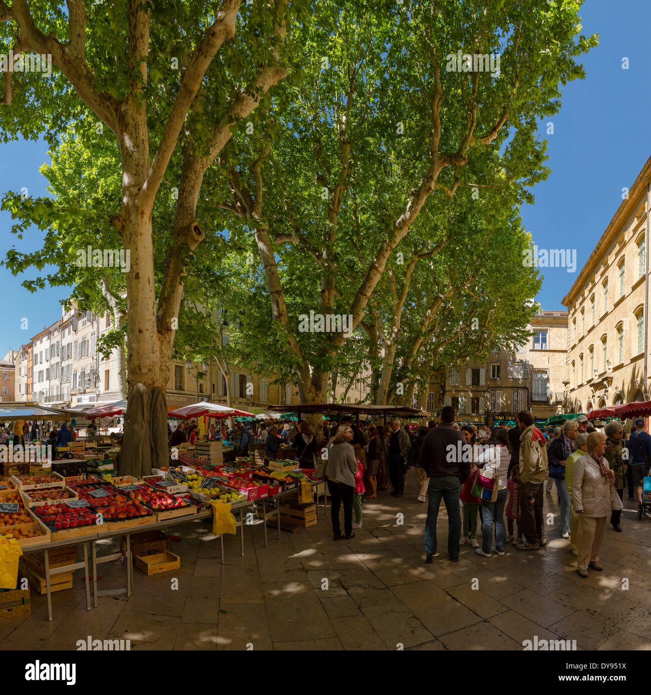 march-aux-l-gumes-place-richelme-village-ville-bois-for-t-arbres
