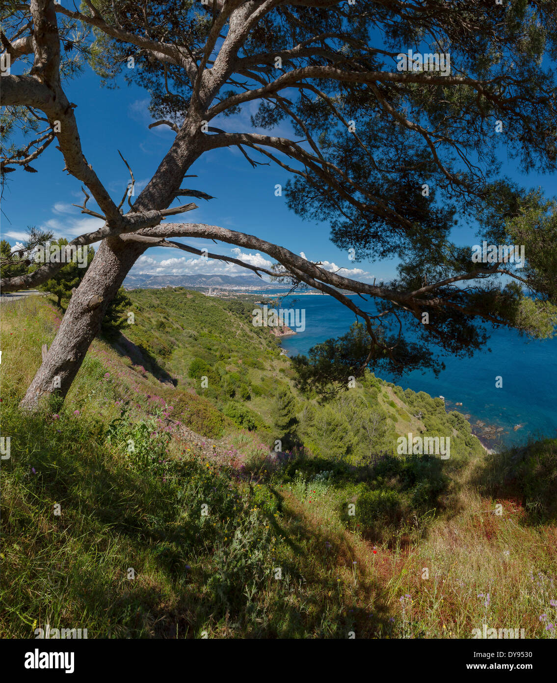 Sentier Chemin du Joncquet paysage méditerranéen eau arbres spring mountains sea La Seyne sur Mer Var France Europe, Banque D'Images