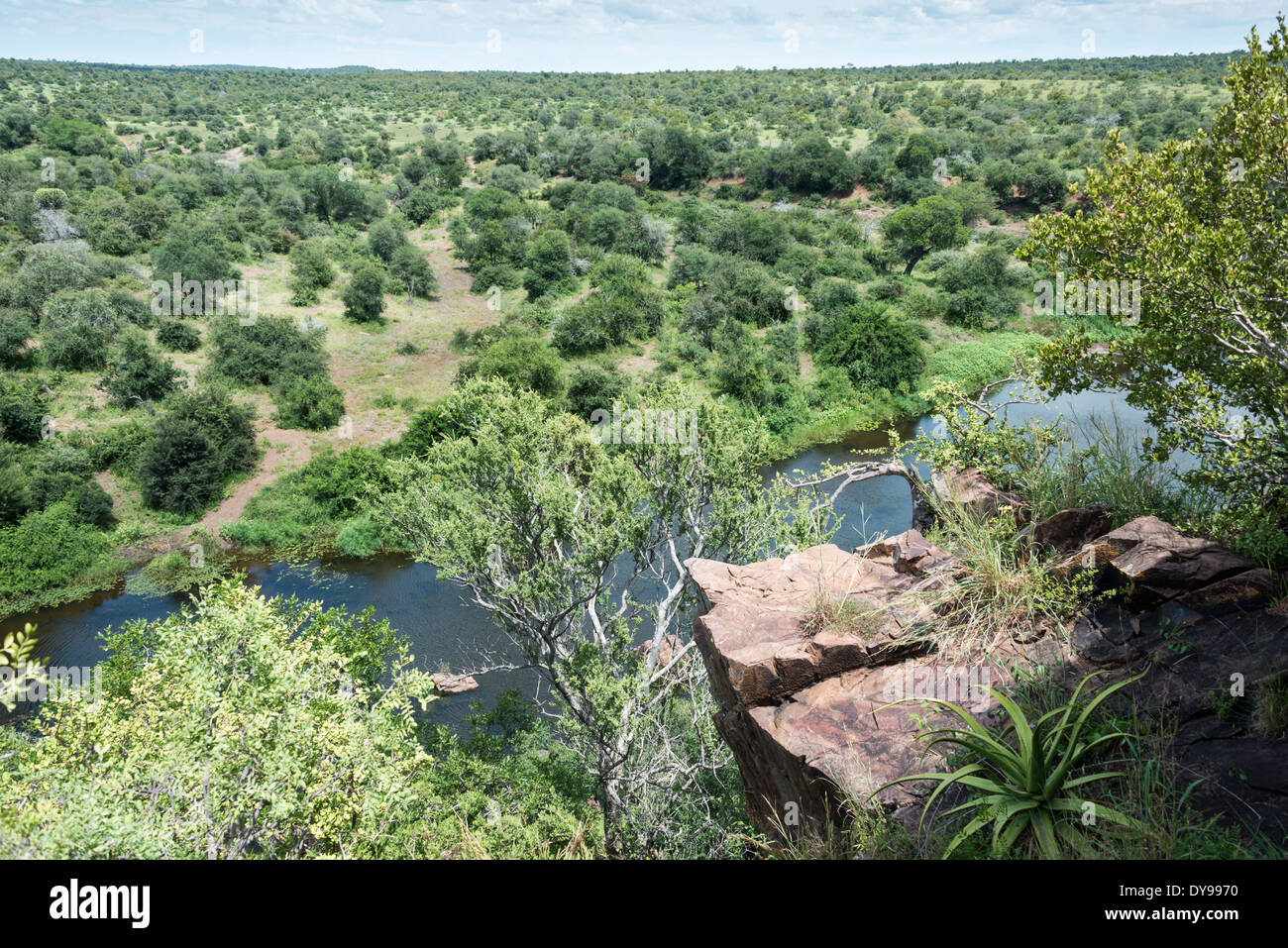 Voir d'viewpost sur le parc national Kruger en Afrique du Sud Banque D'Images