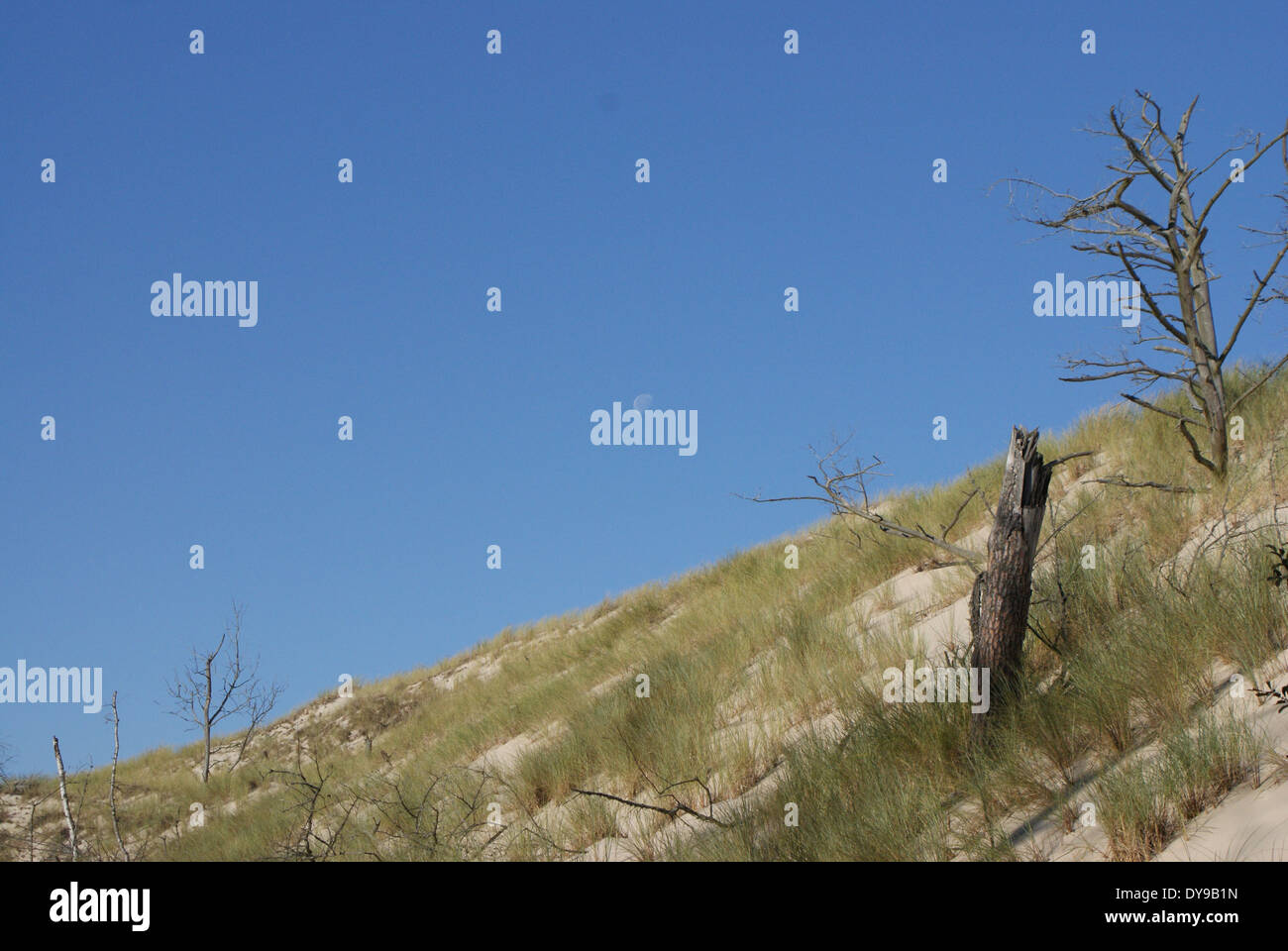 Les célèbres dunes ameuhsante dans le Parc National de Slowinski Près de Leba, Pologne, l'Europe occidentale, Banque D'Images