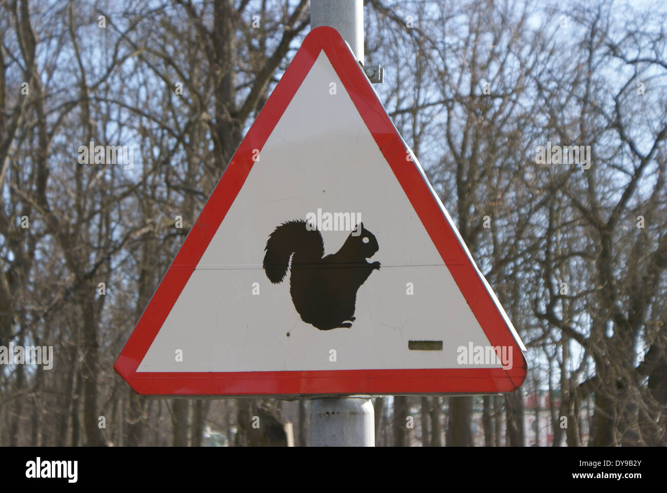 Les plaques de rue drôle - Attention ! Les écureuils - prises près de la vieille ville de Tallinn, Estonie, Europe Banque D'Images