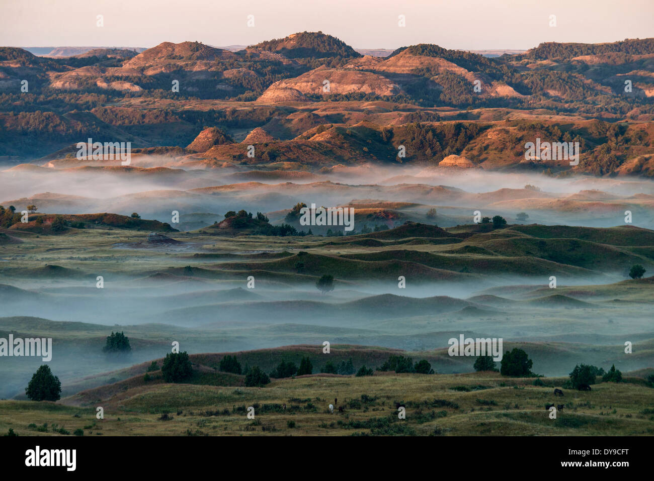 Theodore Roosevelt National Park, North Dakota, USA, United States, Nord, paysage, brouillard Banque D'Images
