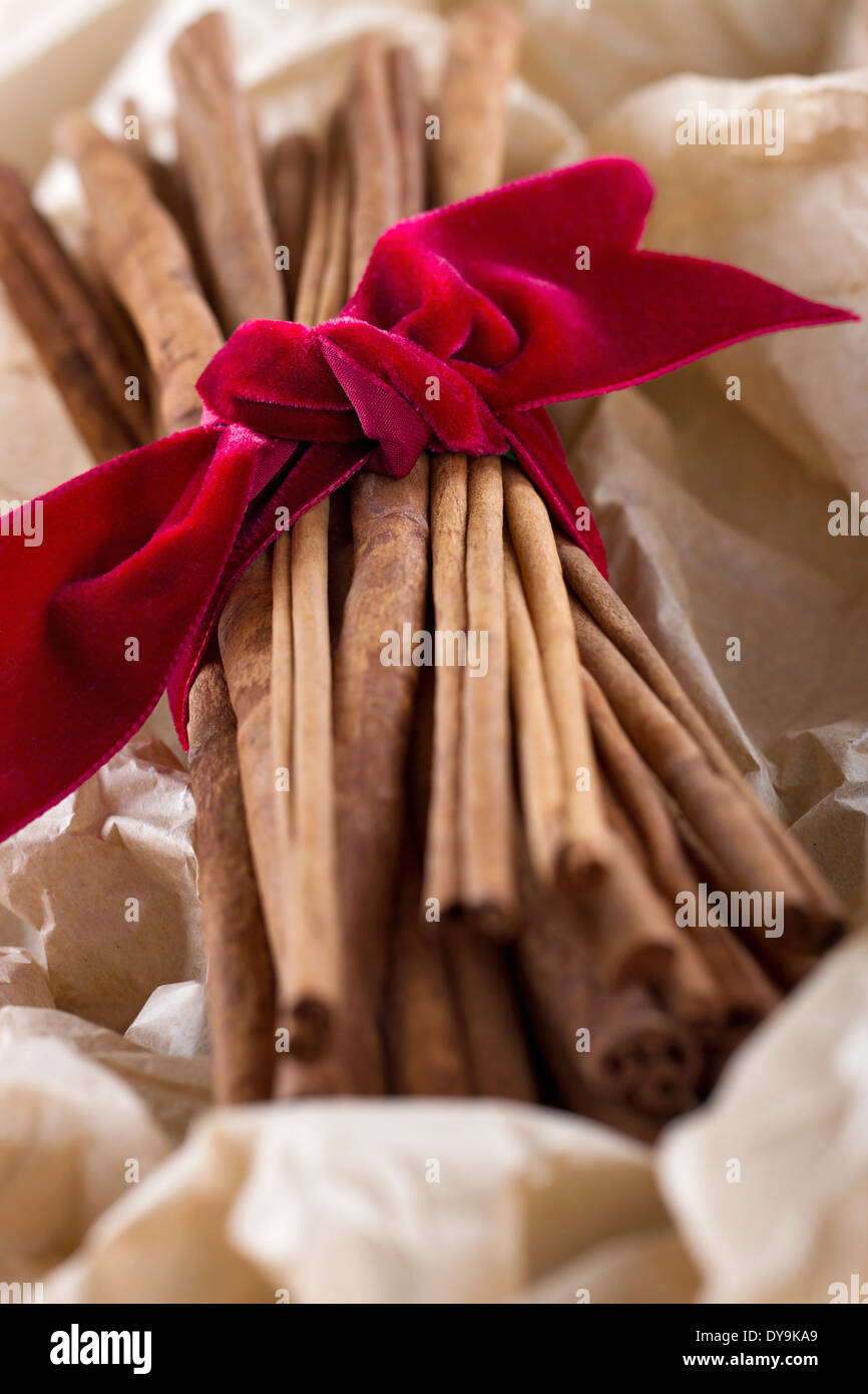 Les bâtons de cannelle attaché avec un ruban rouge en papier enroulé, épices de Noël pour fond de cuisson Banque D'Images