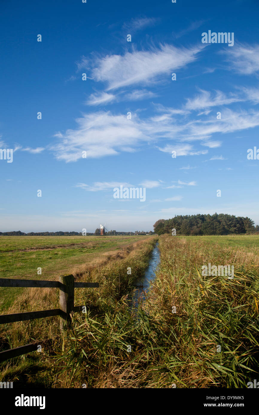 En regardant à travers les champs vers le moulin de Horsey au loin, Norfolk, Angleterre. Banque D'Images