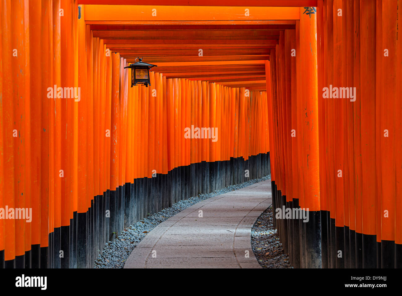 Fushimi Inari Taisha torii gates à Kyoto, au Japon. Banque D'Images