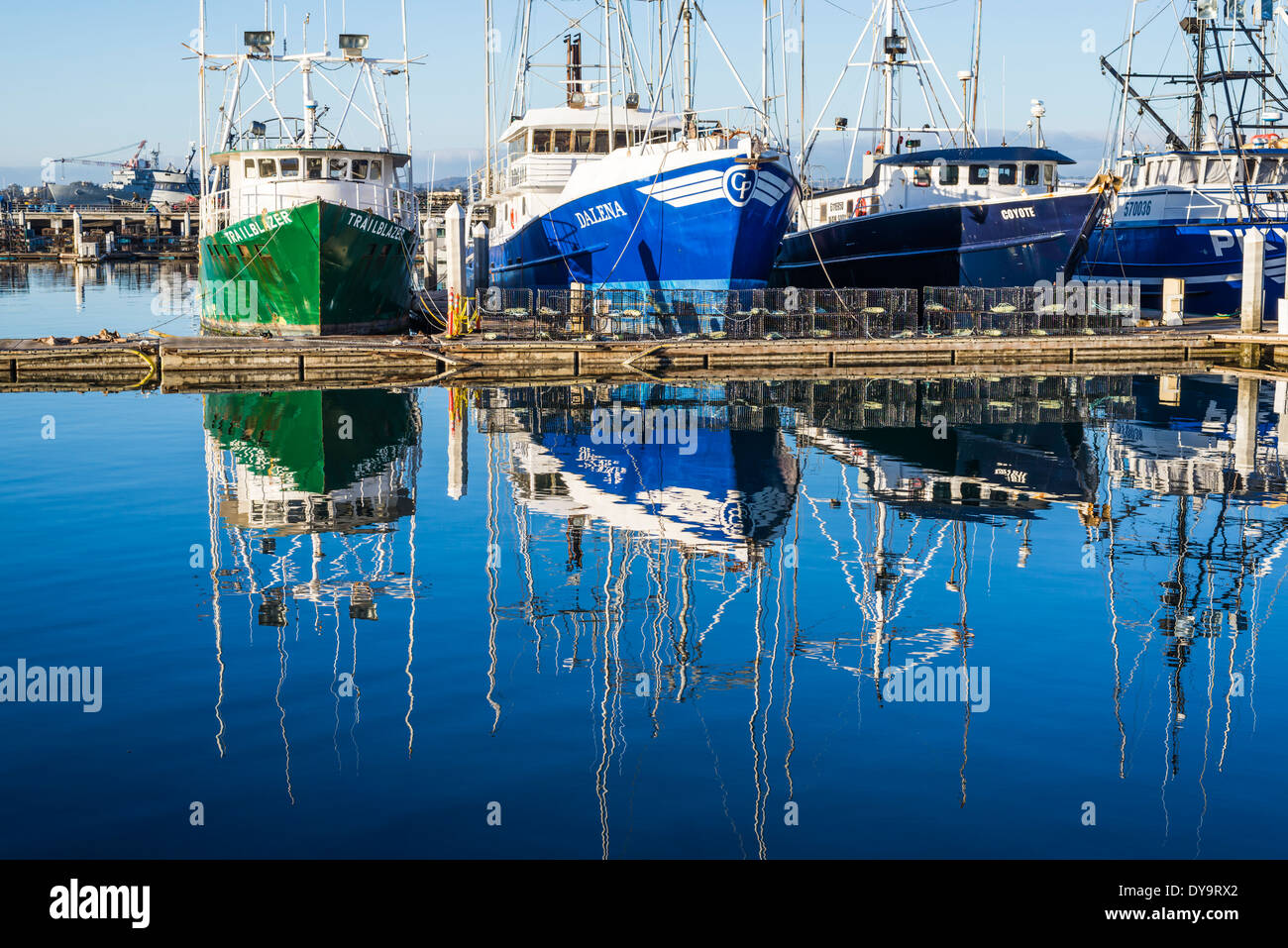 Bateaux amarrés au port de thon. San Diego, Californie, États-Unis. Banque D'Images