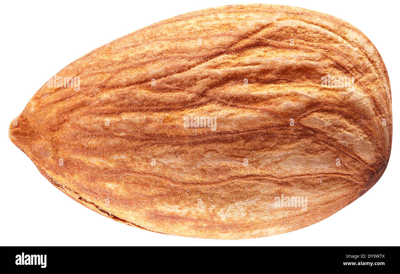 Almond isolé sur fond blanc. Image avec netteté maximale. Chemin de détourage. Banque D'Images