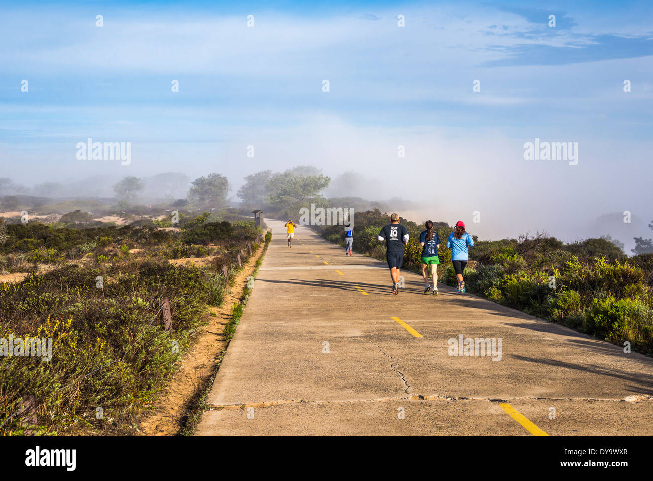 Les gens le jogging et la marche à pied dans la matinée au Torrey Pines State Parc Naturel. San Diego, Californie, États-Unis. Banque D'Images