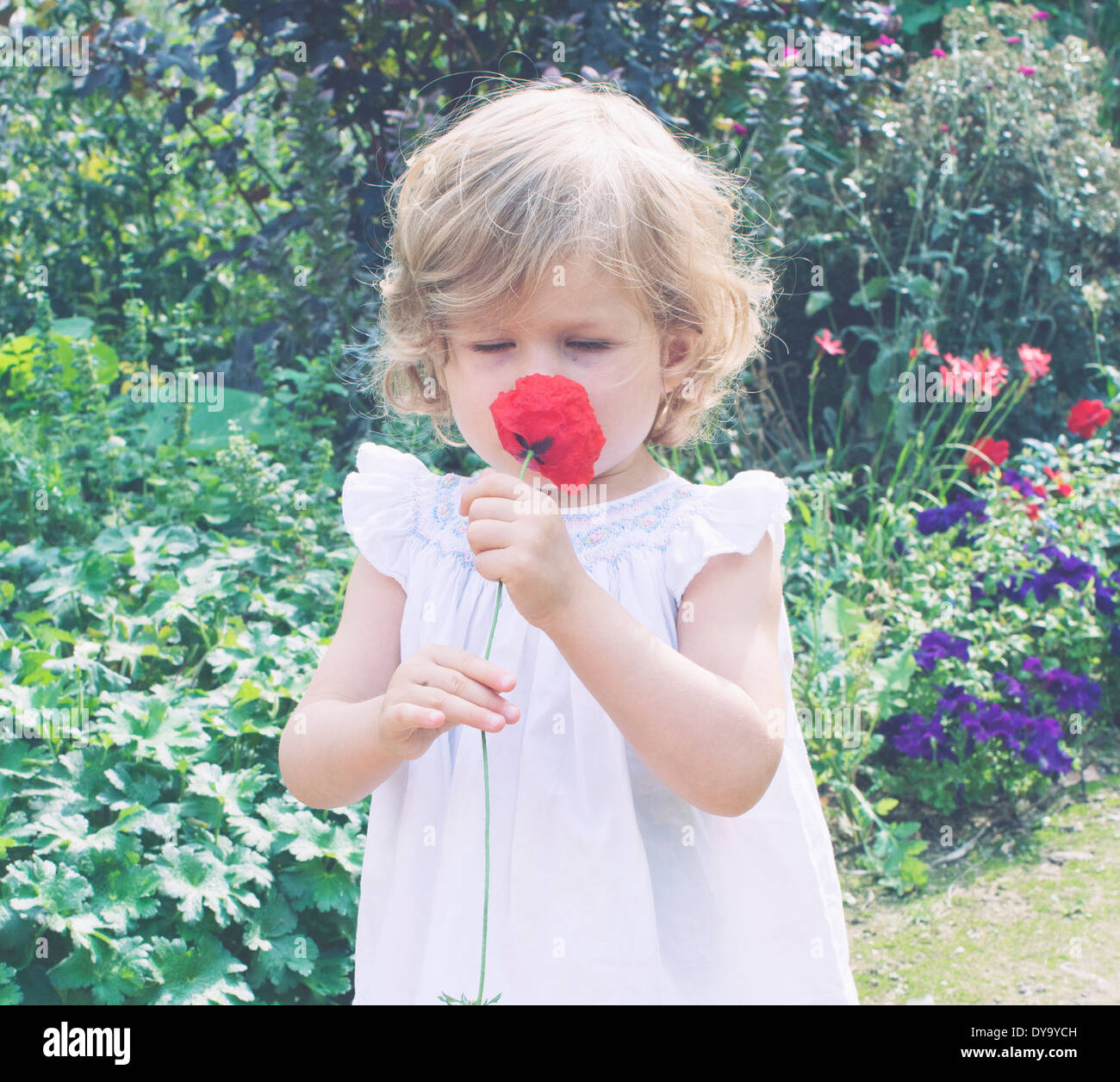 Little girl smelling flower Banque D'Images