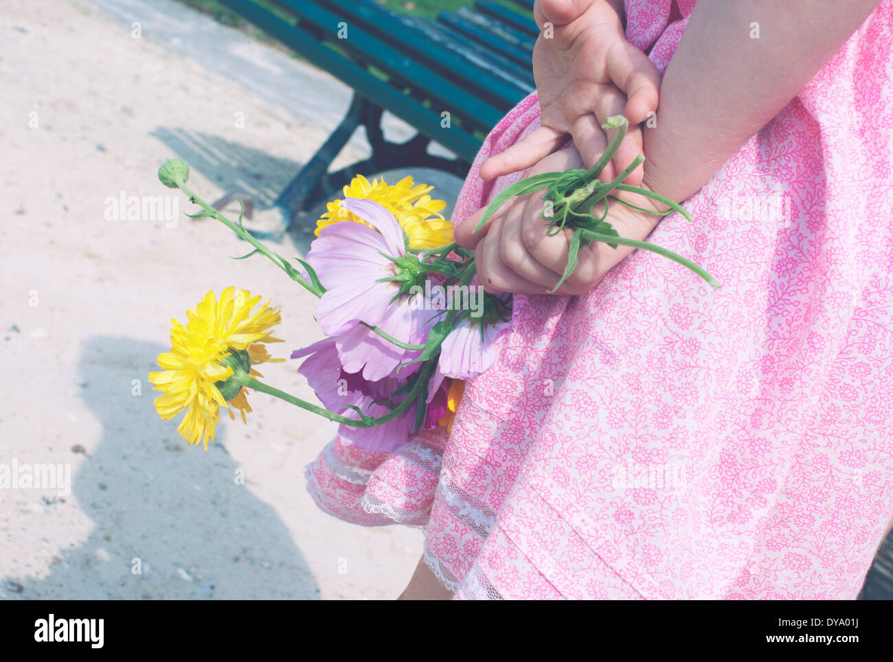 Little girl holding Flowers derrière son dos Banque D'Images