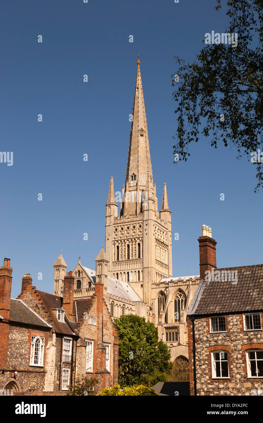 Royaume-uni, Angleterre, Norwich, Norfolk, Cathédrale de la green Banque D'Images