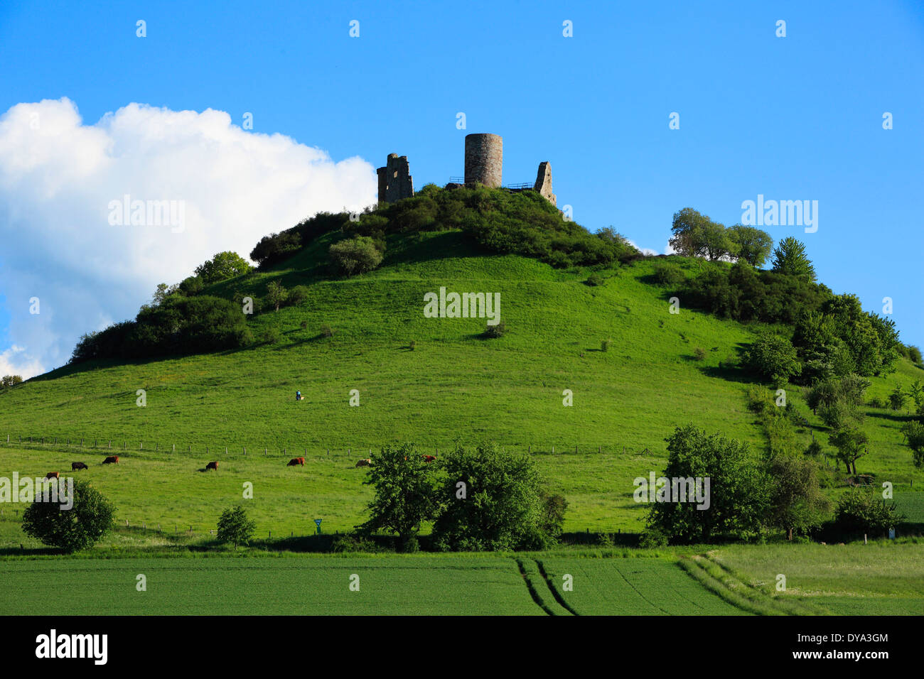 Allemagne Europe Guerre Warburger Börde château Diemel Ostwestfalen-Lippe Ostwestfalen Bay du Nord Westphalie westphalien Banque D'Images