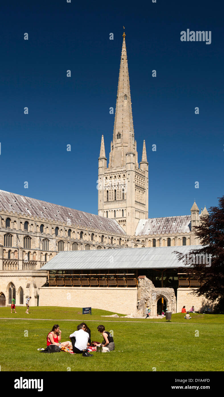 Royaume-uni, Angleterre, Norwich, Norfolk, Cathédrale de la green Banque D'Images