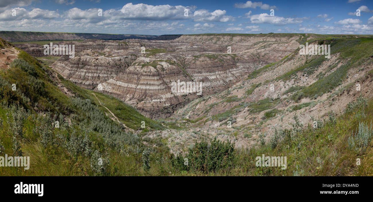 L'Alberta, badlands, rock, stones, voleur de chevaux canyon, canyon, Canada, paysage, paysage, en Amérique du Nord Banque D'Images