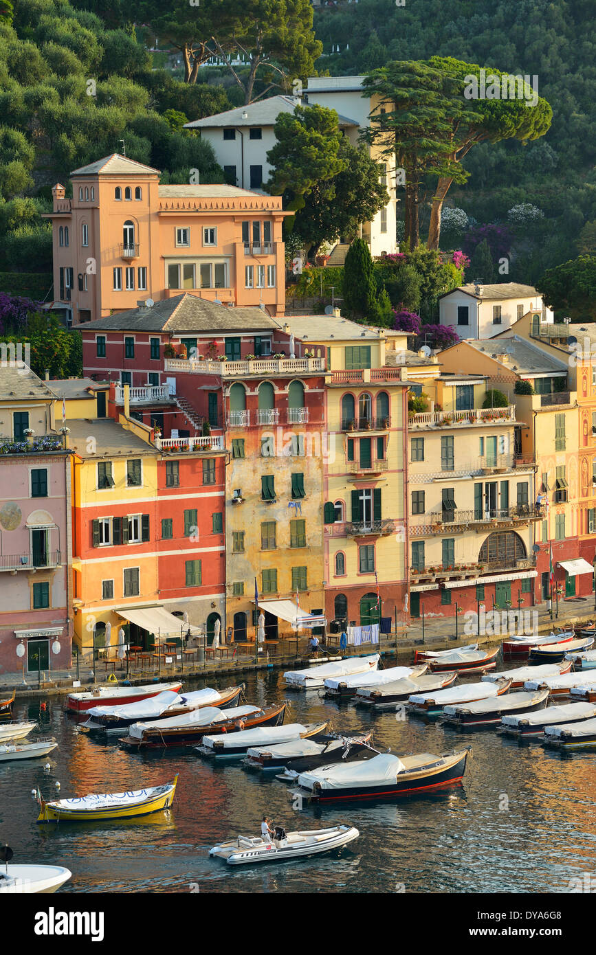 Italie, province de Gênes, Riviera, Portofino, Méditerranée, port, location de bateaux, port d'accueil Banque D'Images