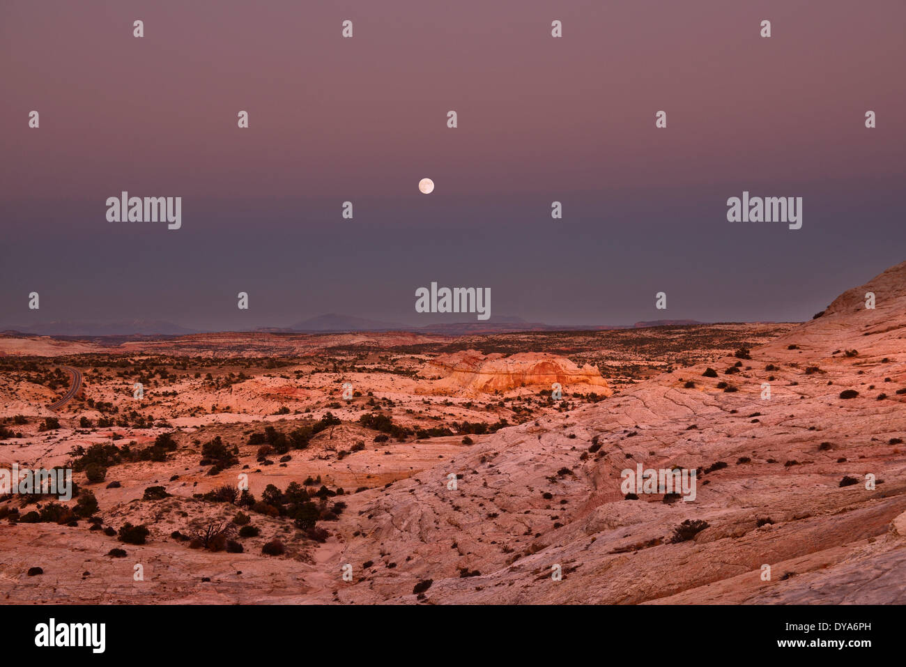 USA, Amérique latine, États-Unis, Utah, du Plateau du Colorado, Boulder, sud, désert, slick rock, du paysage, de la lune, Banque D'Images
