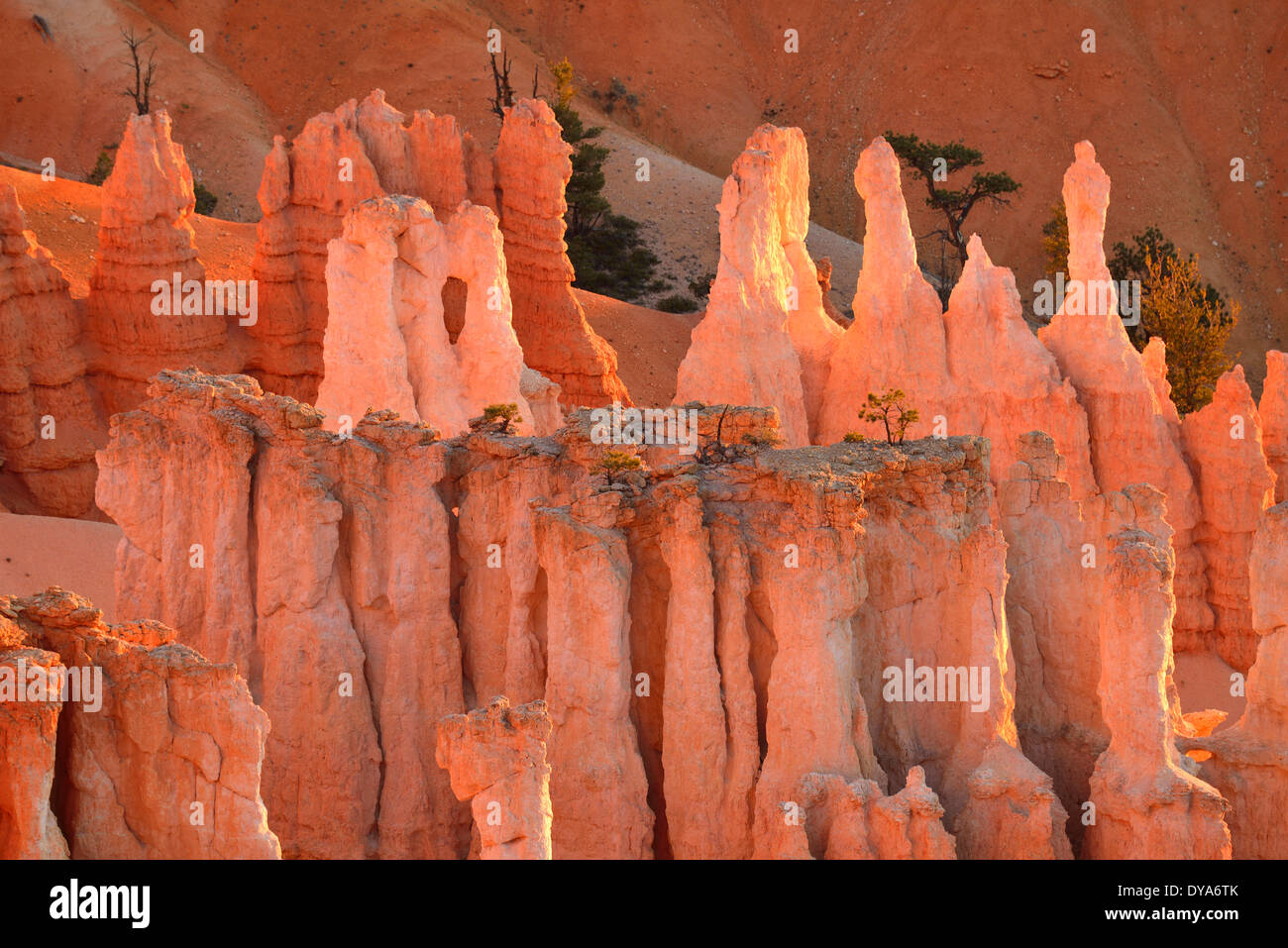 États-unis d'Amérique États-unis Utah Colorado Plateau sud de Cedar Breaks National Monument canyon paysage nature de l'érosion non peo Banque D'Images