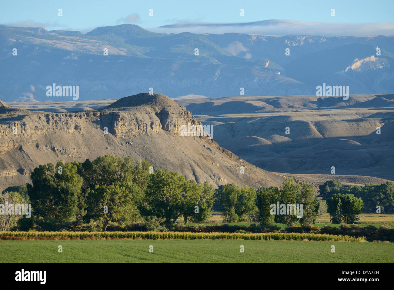 L'Amérique, à l'Ouest, du Wyoming, de l'Ouest, USA, Amérique, Etats-Unis, Greybull, paysage, nature, Outback, ouest américain, le mouflon Banque D'Images