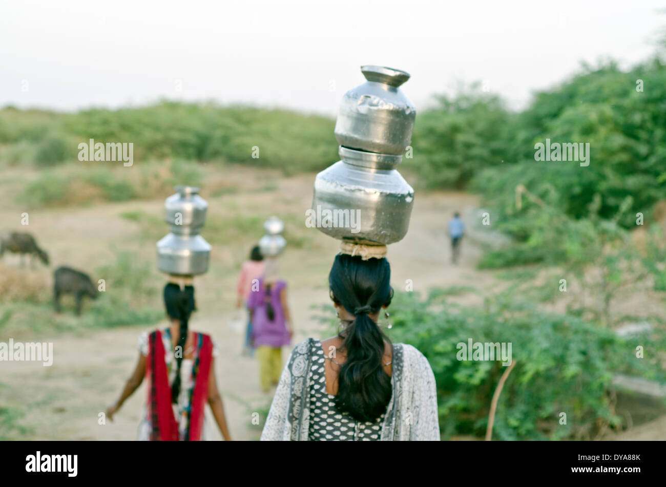 Les femmes portant de l'eau du puits ,Kutch ,l'Inde Banque D'Images