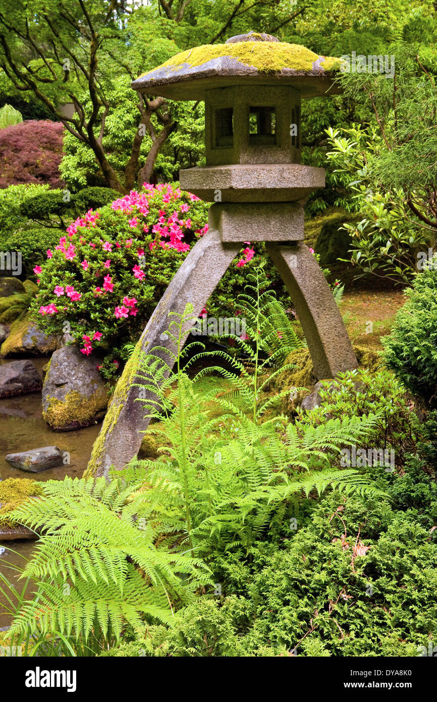 Jardin Jardin Japonais ou de l'Oregon USA Amérique États-unis printemps fleurs luxuriantes fleurs bloom floraison harpe lanterne azalea Banque D'Images